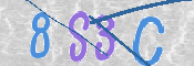 CAPTCHA 验证图片