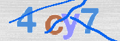 CAPTCHA 驗證圖片