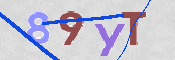 CAPTCHA 驗證圖片