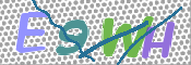 CAPTCHA 验证图片