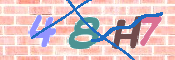 CAPTCHA 驗證圖片