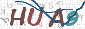 CAPTCHA 验证图片