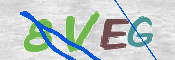 CAPTCHA 验证图片