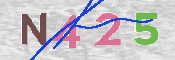 CAPTCHA 验证图片