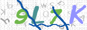 CAPTCHA 验证图片