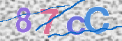 CAPTCHA 验证图片