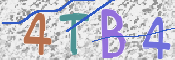 CAPTCHA 验证图片