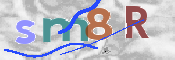 CAPTCHA 验证图片