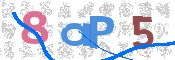 CAPTCHA 验证图片