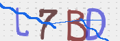 CAPTCHA 驗證圖片