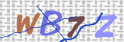 CAPTCHA 验证图片