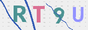 CAPTCHA 验证图片