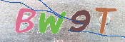 CAPTCHA 验证图片