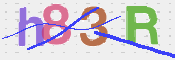 CAPTCHA 验证图片