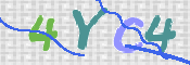 CAPTCHA 验证图片