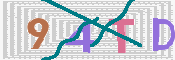 CAPTCHA 验证图片