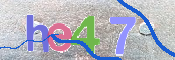 CAPTCHA 验证图片