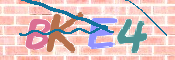 CAPTCHA 验证图片