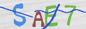 CAPTCHA 验证图片