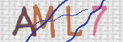CAPTCHA 验证图片