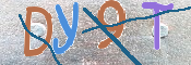 CAPTCHA 驗證圖片