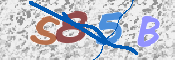 CAPTCHA 驗證圖片