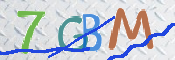 CAPTCHA 验证图片