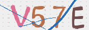 CAPTCHA 验证图片