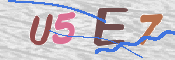 CAPTCHA 验证图片