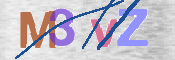 CAPTCHA 验证图片