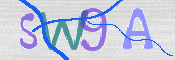 CAPTCHA 验证图片