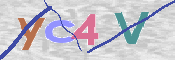 CAPTCHA 验证图片