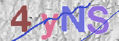 CAPTCHA 验证图片