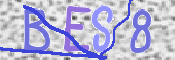 CAPTCHA 验证图片