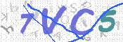 CAPTCHA 驗證圖片