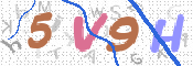 CAPTCHA 验证图片