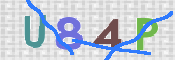 CAPTCHA 验证图片