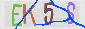 CAPTCHA 驗證圖片