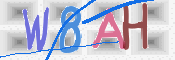 CAPTCHA 验证图片