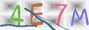 CAPTCHA 验证图片