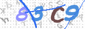 CAPTCHA 验证图片