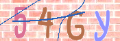 CAPTCHA 驗證圖片