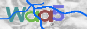 CAPTCHA 验证图片