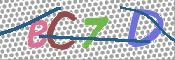 CAPTCHA 驗證圖片