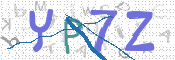 CAPTCHA 验证图片