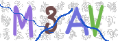 CAPTCHA 验证图片