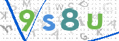 CAPTCHA 验证图片