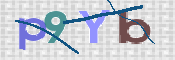 CAPTCHA 驗證圖片