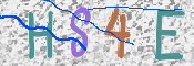 CAPTCHA 驗證圖片
