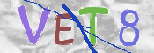 CAPTCHA 验证图片